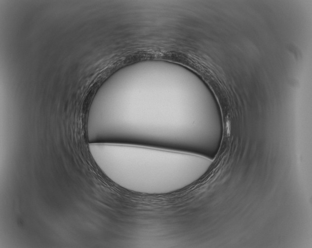 X0000115641347200911101047