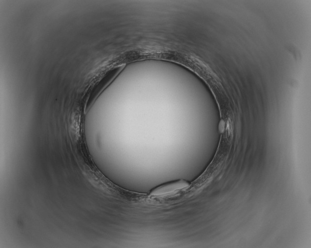X0000115641348200911101047