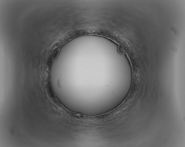 X0000115641349200911101047