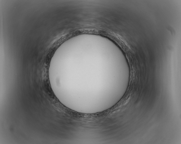 X0000115641350200911101047