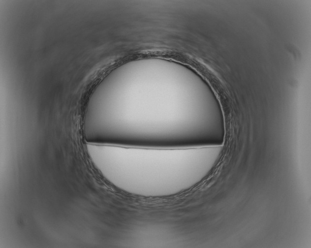 X0000115641351200911101047
