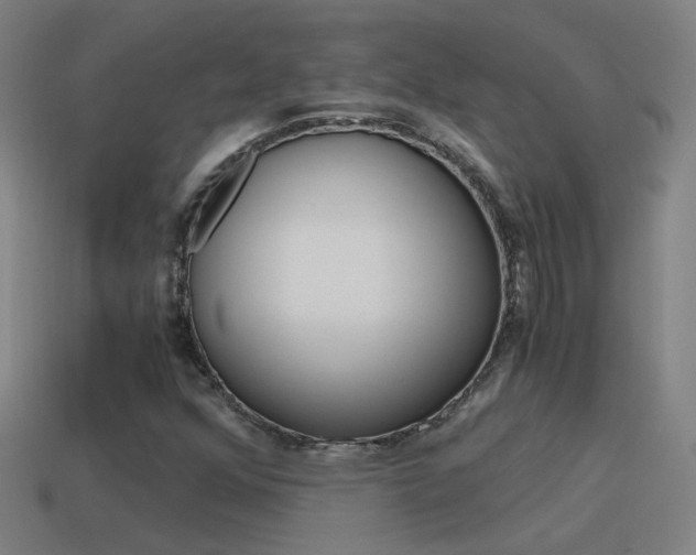 X0000115641352200911101047