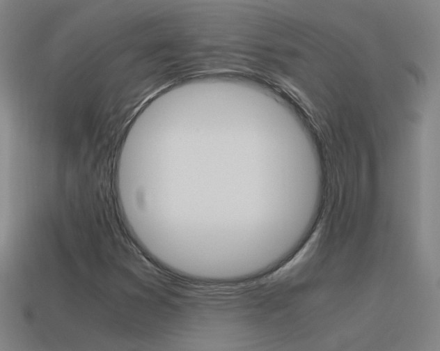 X0000115641353200911101047