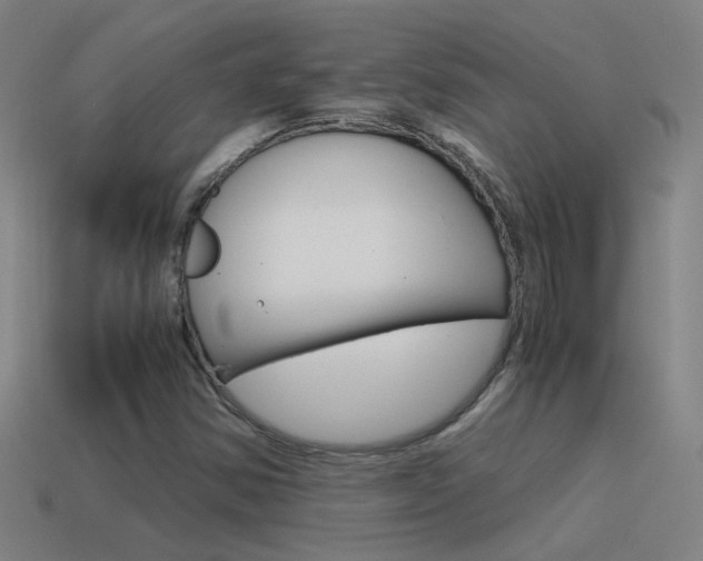 X0000115641354200911101047