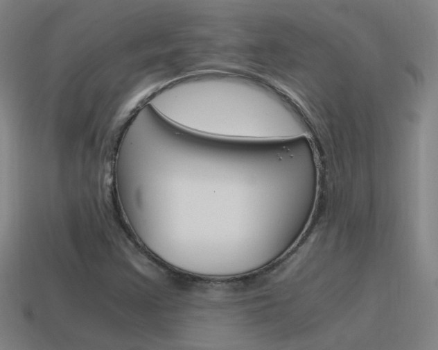 X0000115641355200911101047