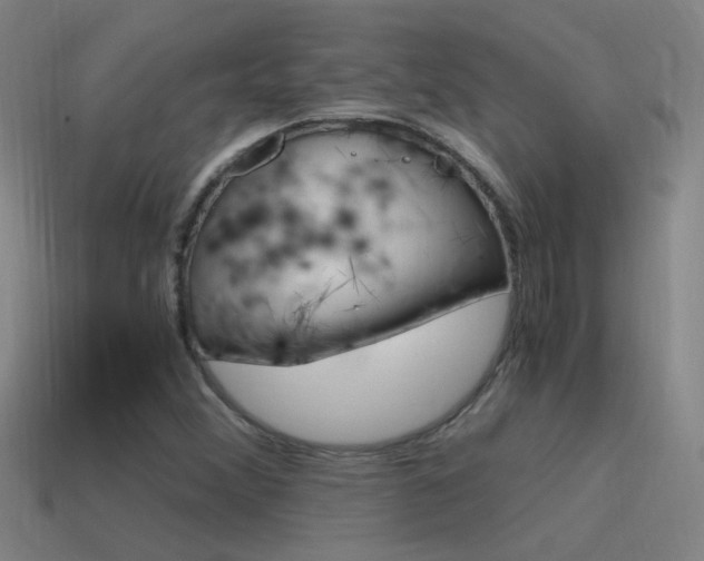 X0000115641356200911101047