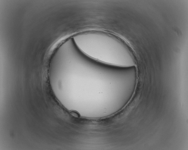 X0000115641359200911101047