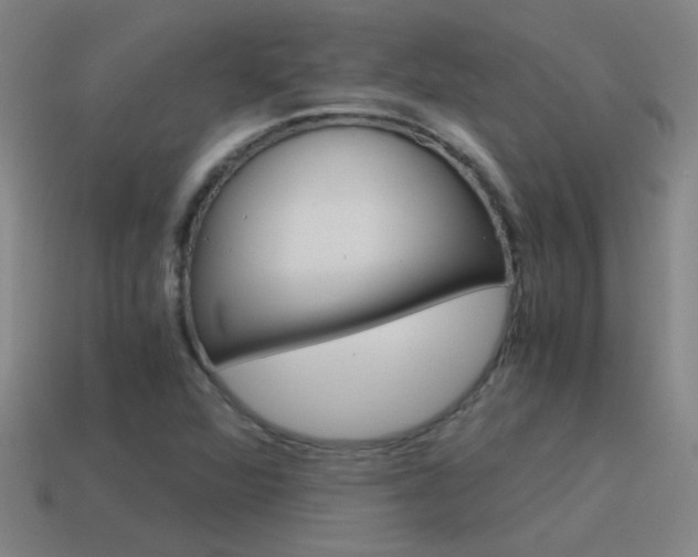 X0000115641360200911101047