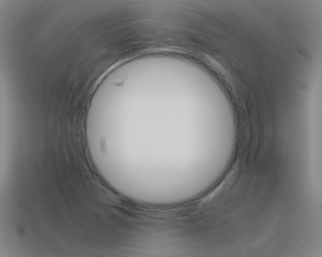 X0000115641361200911101047