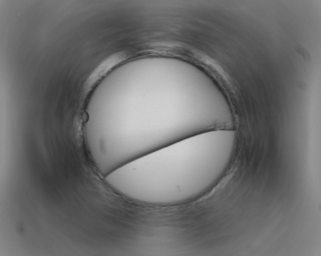X0000115641362200911101047