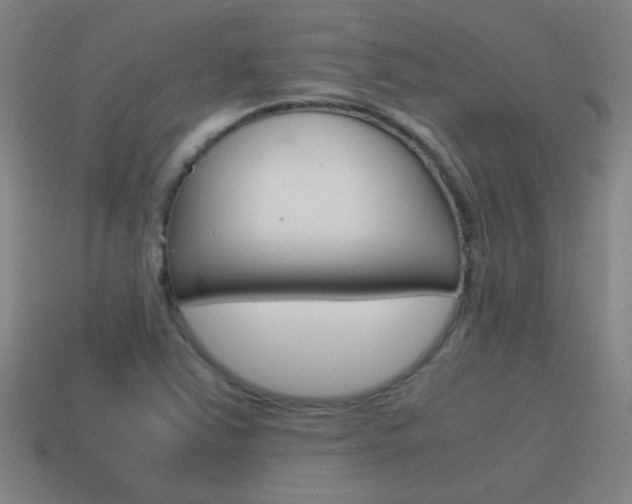 X0000115641363200911101047