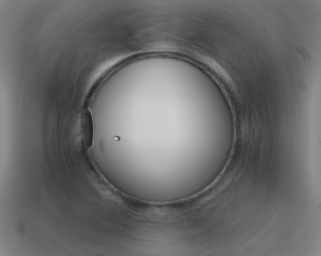 X0000115641364200911101047