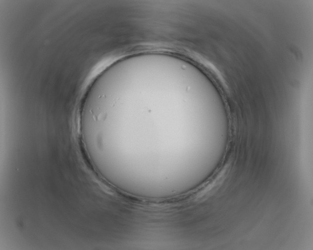 X0000115641365200911101047