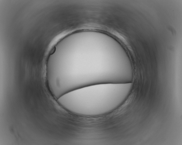 X0000115641366200911101047