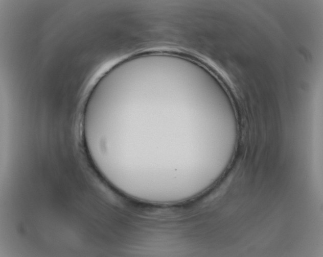 X0000115641367200911101047