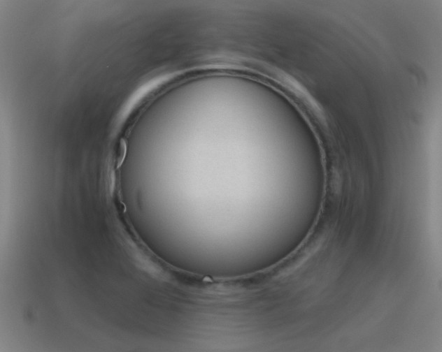 X0000115641368200911101047