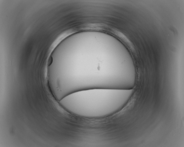X0000115641370200911101047