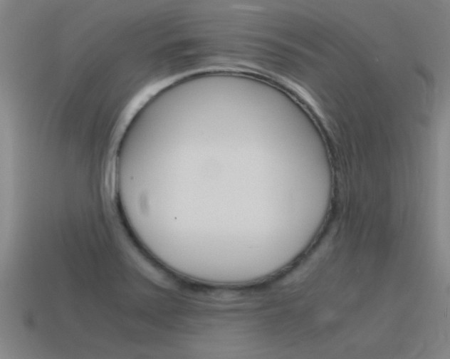 X0000115641371200911101047