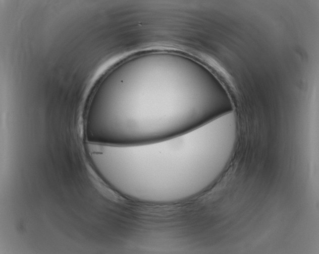 X0000115641372200911101047