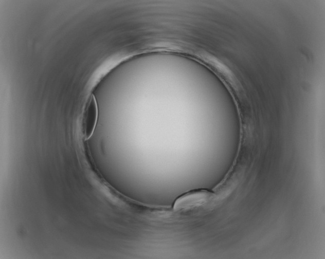 X0000115641373200911101047