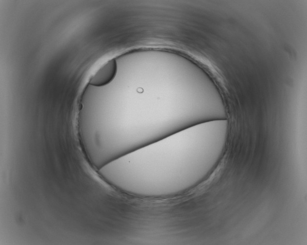 X0000115641374200911101047
