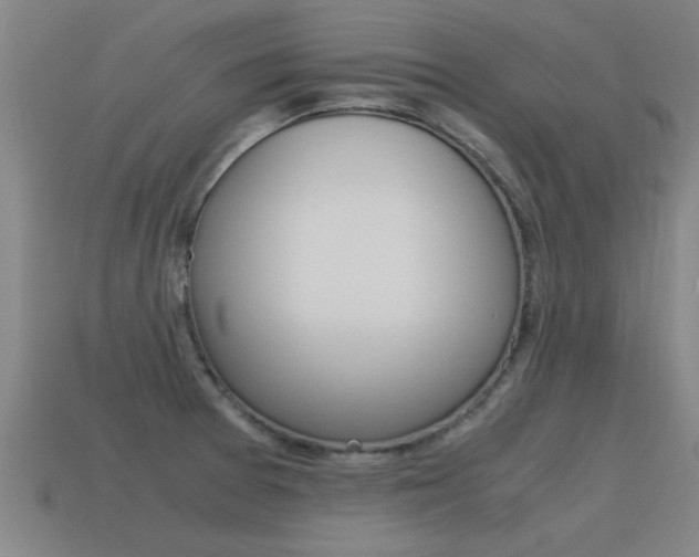 X0000115641377200911101047