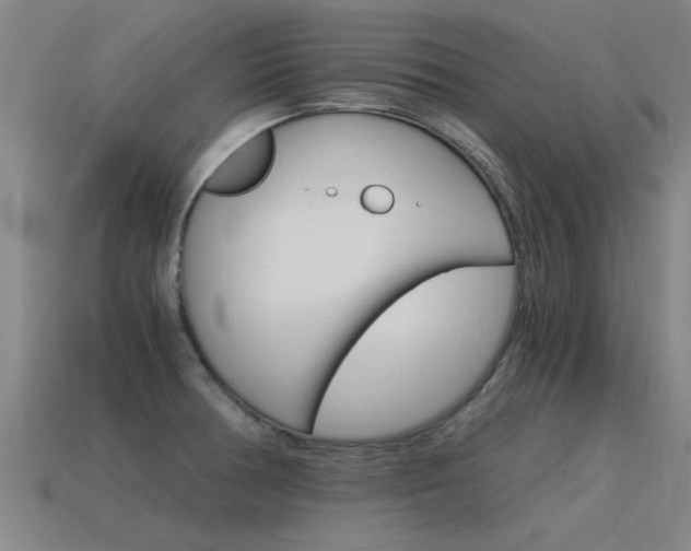 X0000115641378200911101047