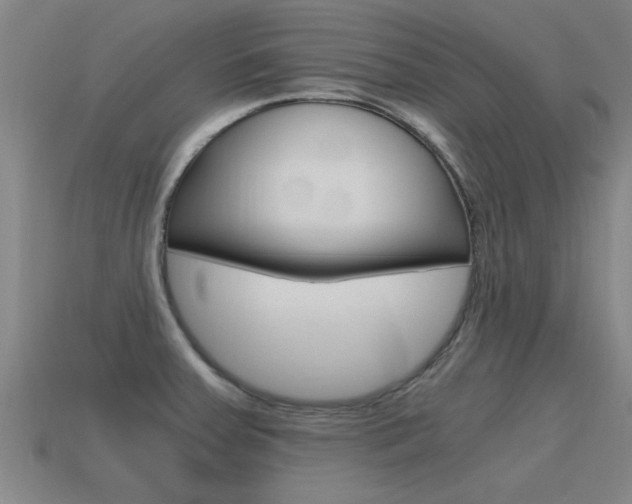 X0000115641379200911101047