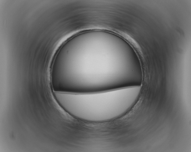 X0000115641380200911101047