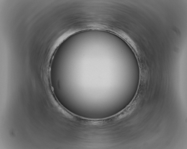 X0000115641381200911101047