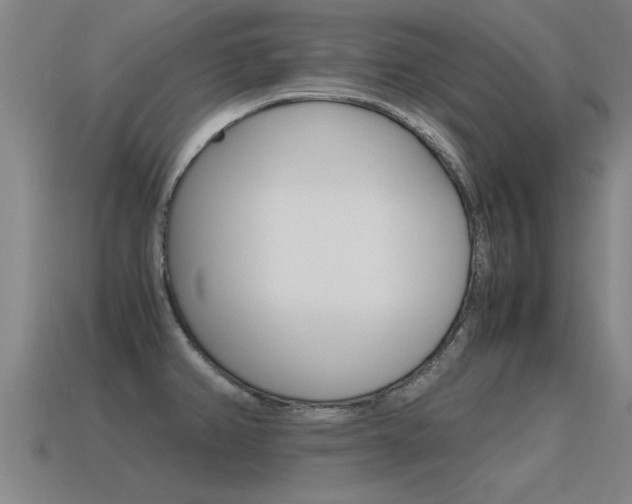 X0000115641382200911101047