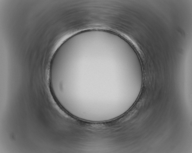 X0000115641383200911101047