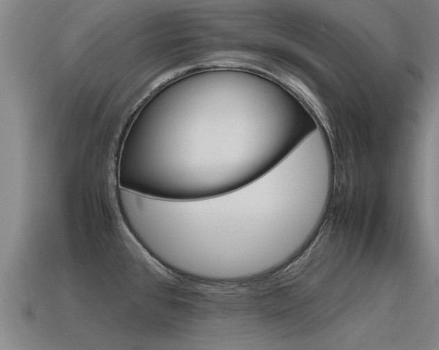 X0000115641384200911101047
