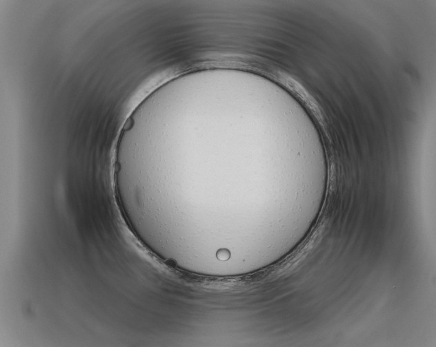 X0000115641386200911101047