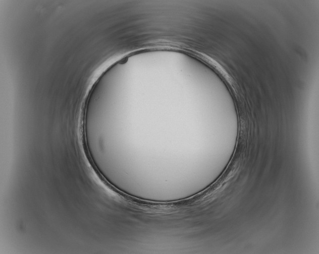 X0000115641387200911101047