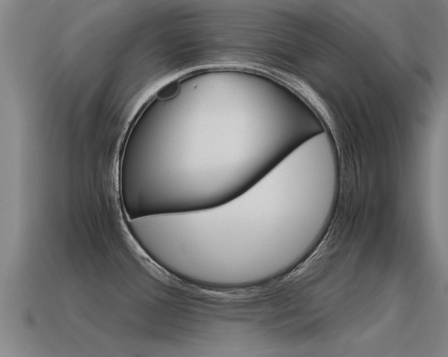 X0000115641388200911101047