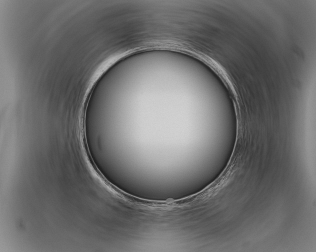X0000115641389200911101047