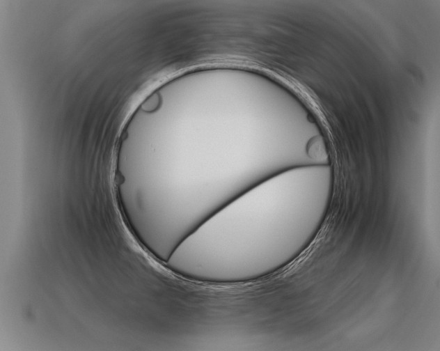 X0000115641390200911101046
