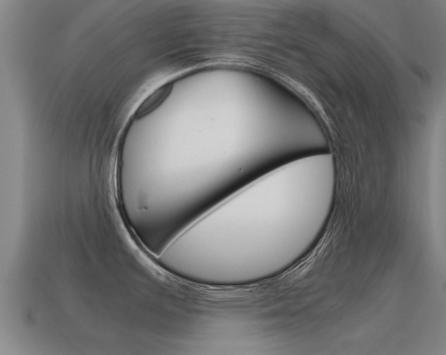 X0000115641391200911101046