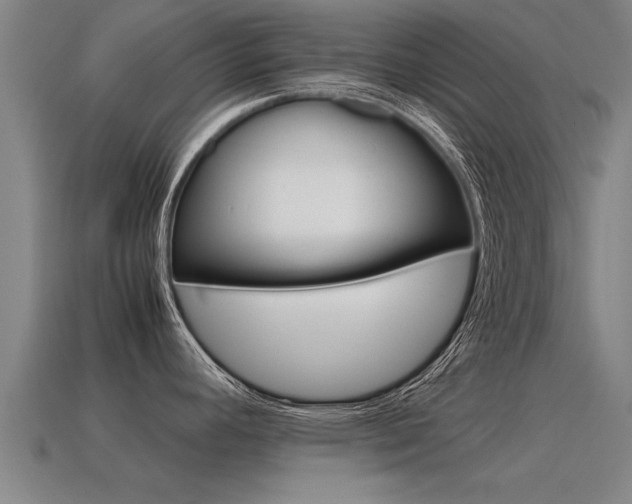 X0000115641392200911101046