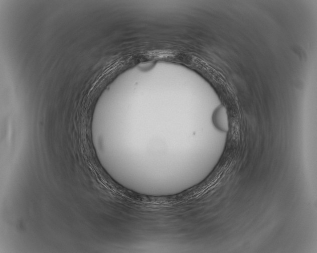 X0000115641393200911101046