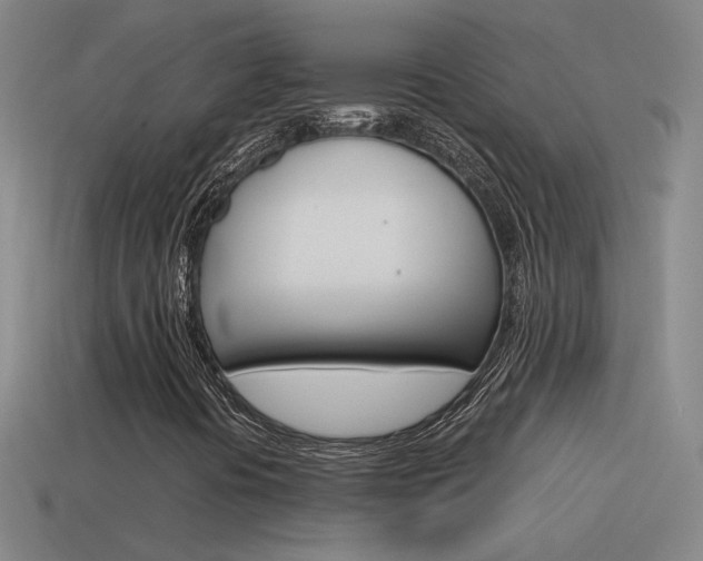 X0000115641394200911101046