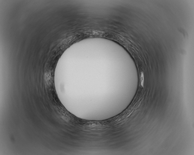 X0000115641395200911101046