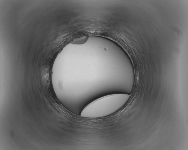 X0000115641396200911101046