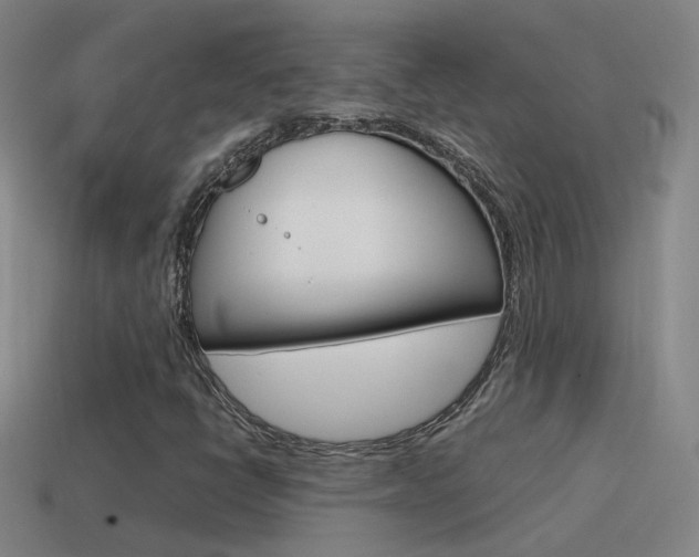X0000115641398200911101046