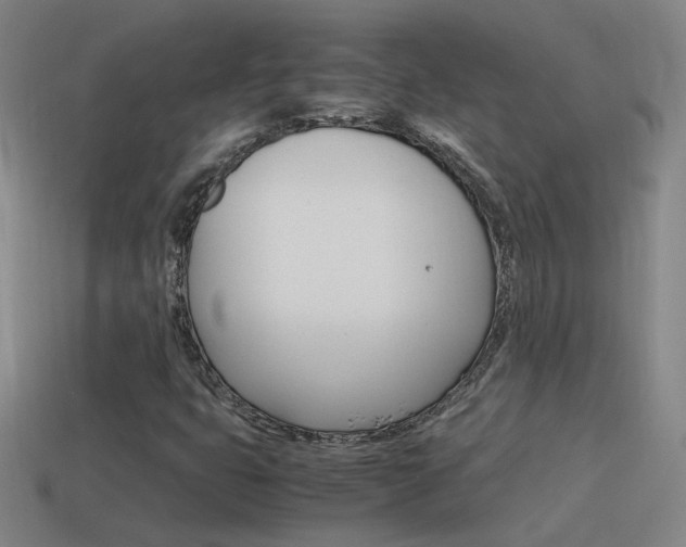 X0000115641399200911101046