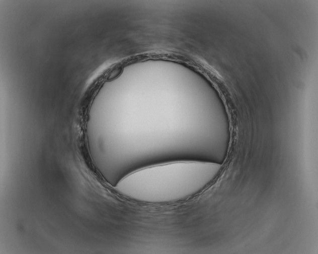 X0000115641400200911101046