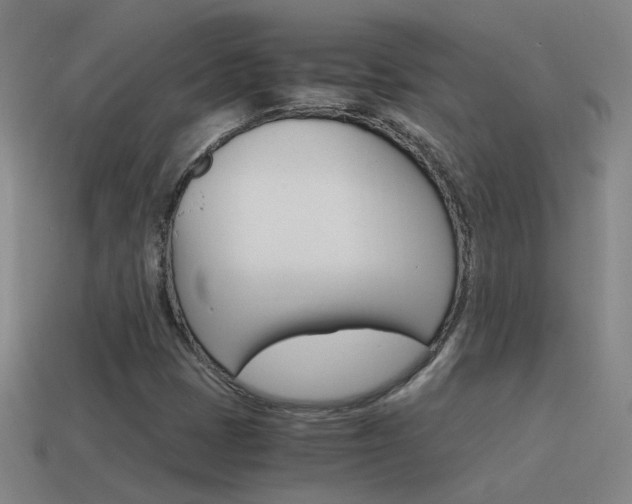 X0000115641401200911101046