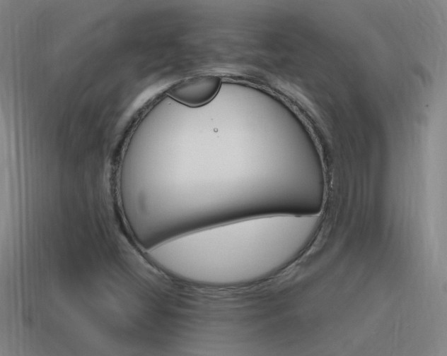 X0000115641404200911101046
