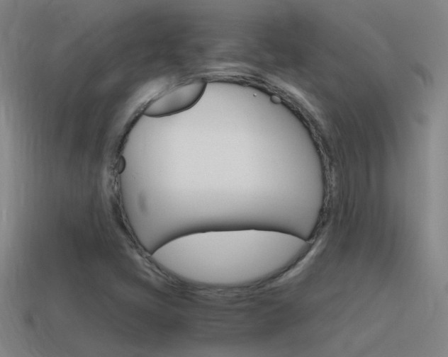 X0000115641405200911101046